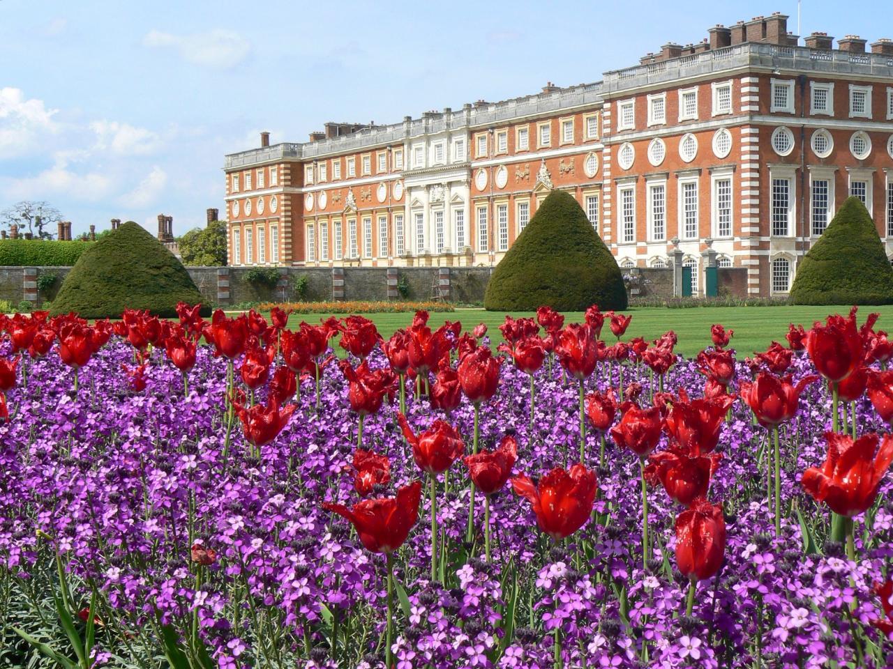 Hampton Court Palace and the Tulip Festival