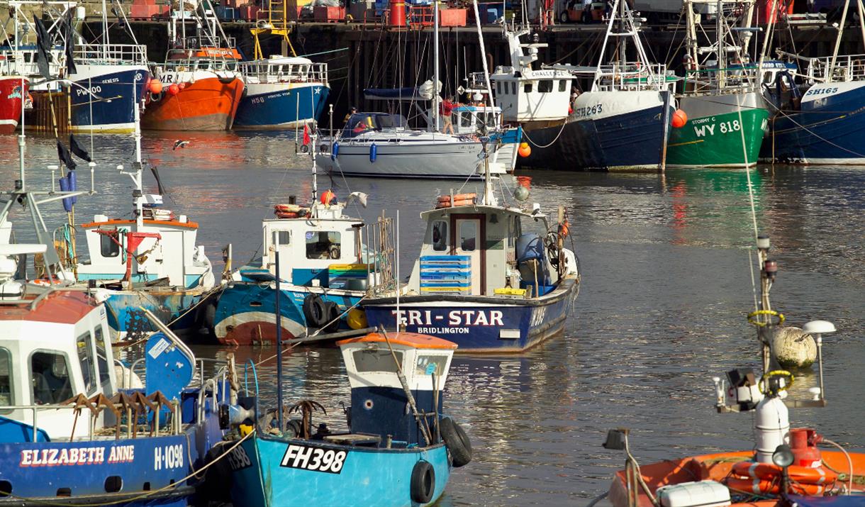 Bridlington Leisure Day