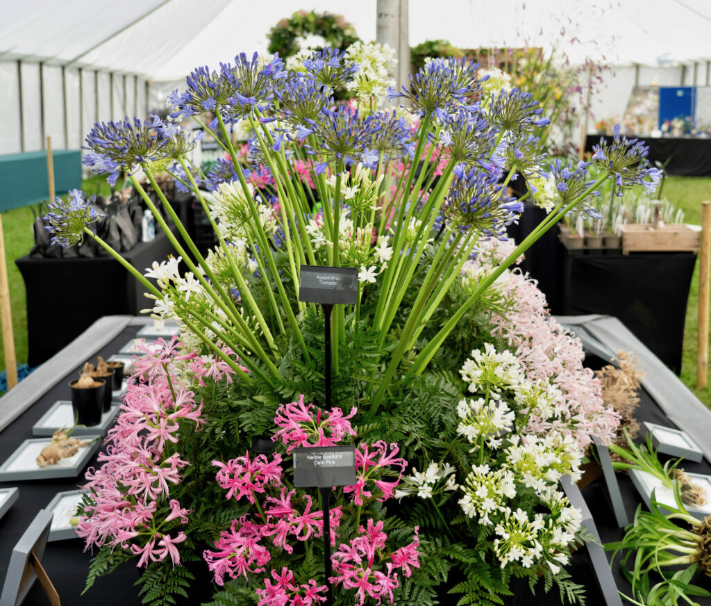 Sandringham Flower Show